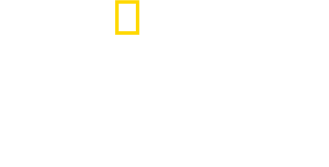 Killing Kennedy Logo lockup